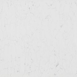 Изображение Кварцевый агломерат белый Vicostone Bianco Venato BQ-8440